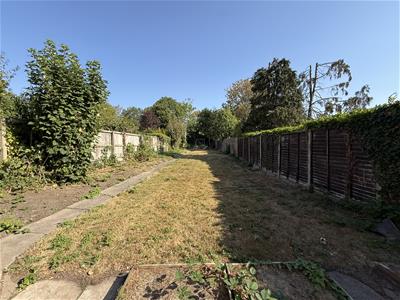 Picture 25